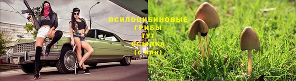 экстази Михайловск
