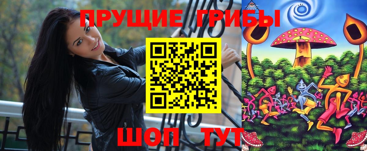 Псилоцибиновые грибы Psilocybe Усолье-Сибирское